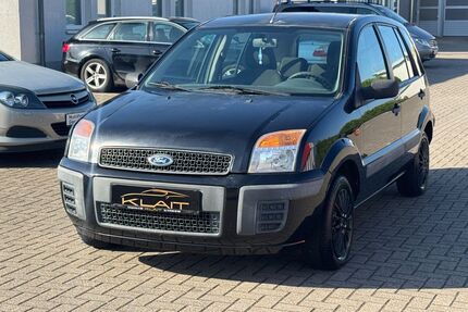 Ford Fusion Gebrauchtwagen