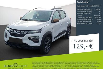 Dacia Spring Gebrauchtwagen