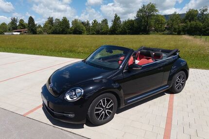 VW Beetle Gebrauchtwagen