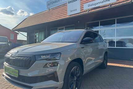 Skoda Karoq Gebrauchtwagen