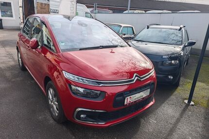 Citroen C4 Cactus Gebrauchtwagen