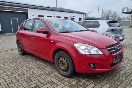 Kia ceed / Ceed Gebrauchtwagen
