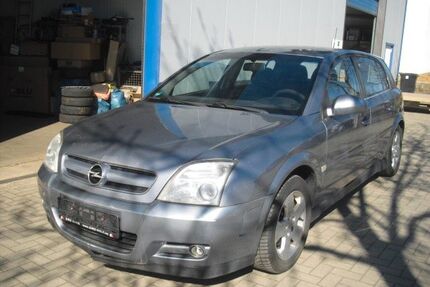 Opel Signum Gebrauchtwagen