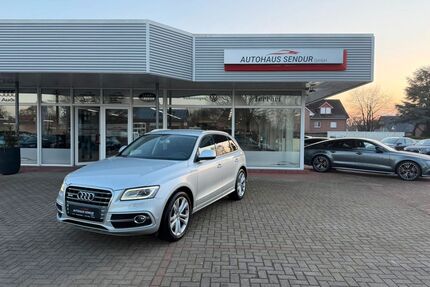 Audi SQ5 Gebrauchtwagen