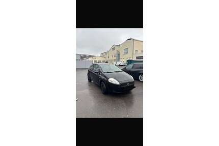 Fiat Punto Gebrauchtwagen