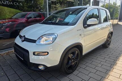 Fiat Panda Gebrauchtwagen