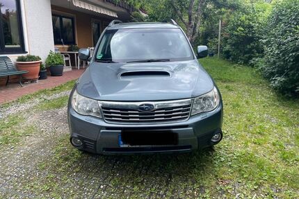 Subaru Forester Gebrauchtwagen