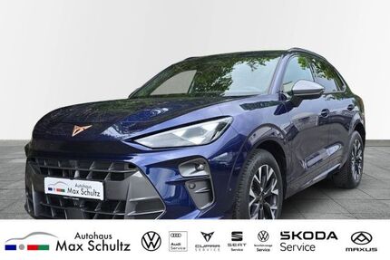 Cupra Terramar Gebrauchtwagen