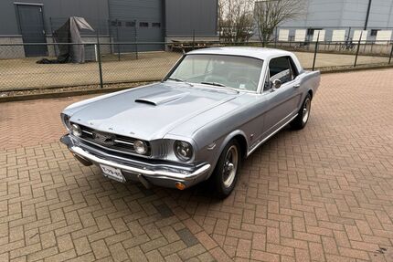 Ford Mustang Gebrauchtwagen