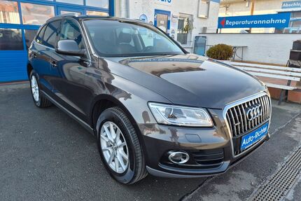 Audi Q5 Gebrauchtwagen