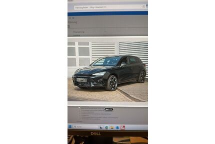 Cupra Leon Gebrauchtwagen