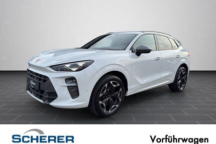 Cupra Terramar Gebrauchtwagen