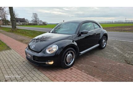 VW Beetle Gebrauchtwagen