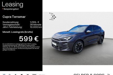 Cupra Terramar Gebrauchtwagen