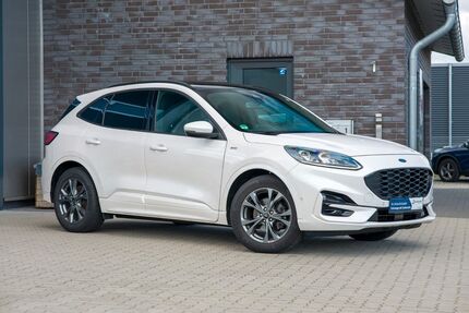 Ford Kuga Gebrauchtwagen