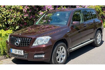 Mercedes-Benz GLK 220 Gebrauchtwagen