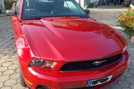 Ford Mustang Gebrauchtwagen