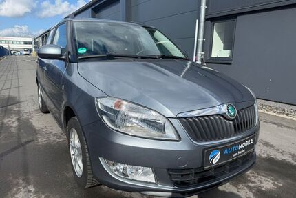 Skoda Fabia Gebrauchtwagen