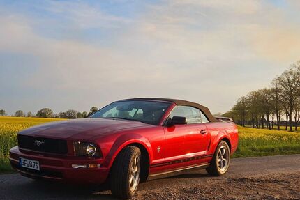 Ford Mustang Gebrauchtwagen