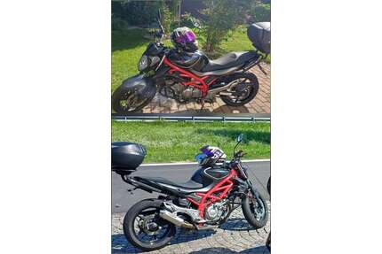 Suzuki Gladius 650 Gebrauchtwagen