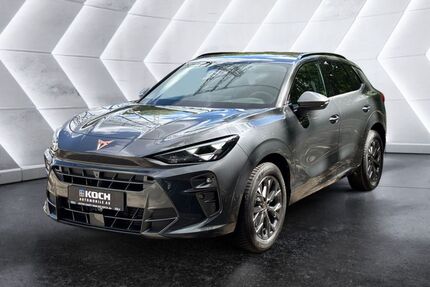 Cupra Terramar Gebrauchtwagen