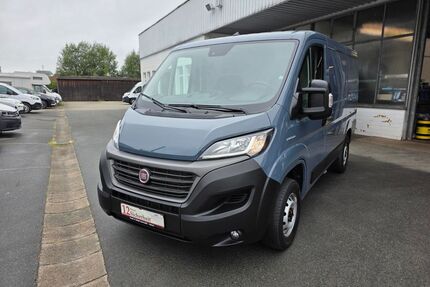 Fiat Ducato Gebrauchtwagen