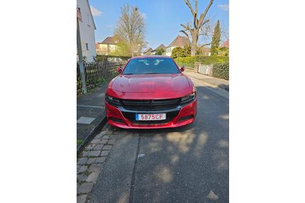 Dodge Charger Gebrauchtwagen
