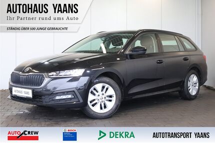 Skoda Octavia Gebrauchtwagen
