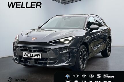 Cupra Terramar Gebrauchtwagen