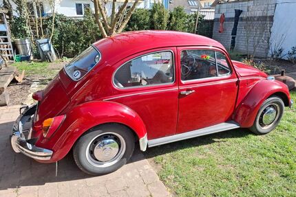 VW Käfer Gebrauchtwagen