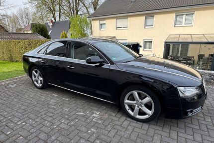 Audi A8 Gebrauchtwagen