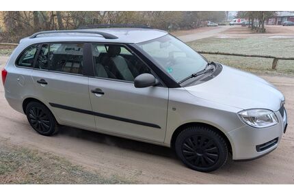 Skoda Fabia Gebrauchtwagen