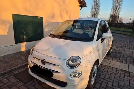 Fiat 500 Gebrauchtwagen