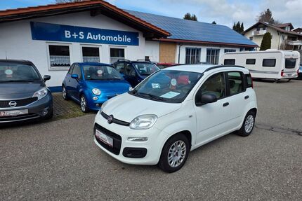 Fiat Panda Gebrauchtwagen
