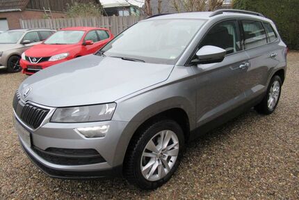 Skoda Karoq Gebrauchtwagen
