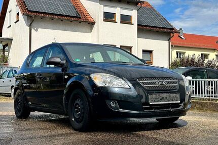 Kia ceed / Ceed Gebrauchtwagen