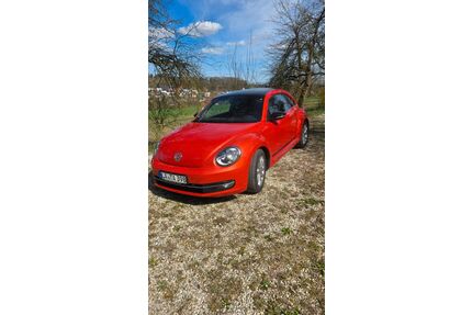 VW Beetle Gebrauchtwagen