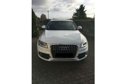 Audi Q5 Gebrauchtwagen