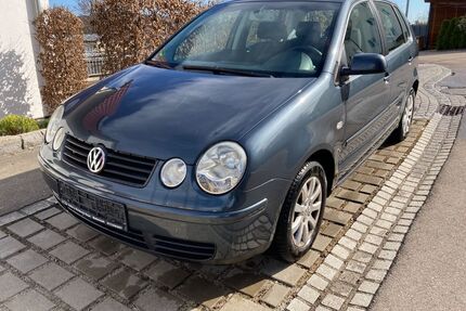 VW Polo Gebrauchtwagen