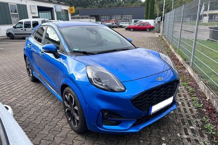 Renault Puma 