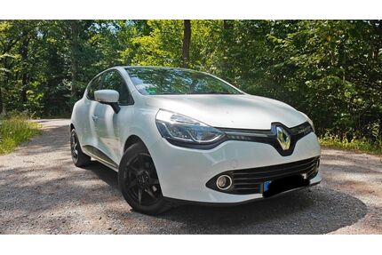 Renault Clio Gebrauchtwagen