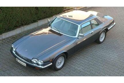 Jaguar XJS Gebrauchtwagen