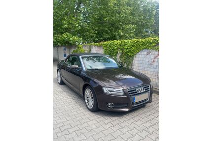 Audi A5 Gebrauchtwagen