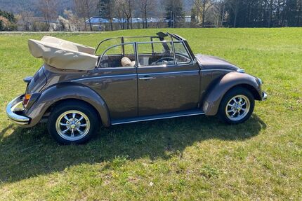 VW Käfer Gebrauchtwagen