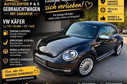VW Beetle Gebrauchtwagen