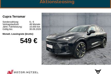 Cupra Terramar Gebrauchtwagen