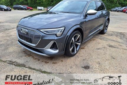 Audi e-tron Gebrauchtwagen