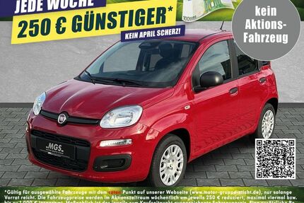 Fiat Panda Gebrauchtwagen