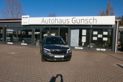Skoda Kamiq Gebrauchtwagen
