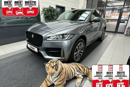 Jaguar F-Pace 3,0 D AWD R-Sport +AHK+Panorama+Navi+Kamera 